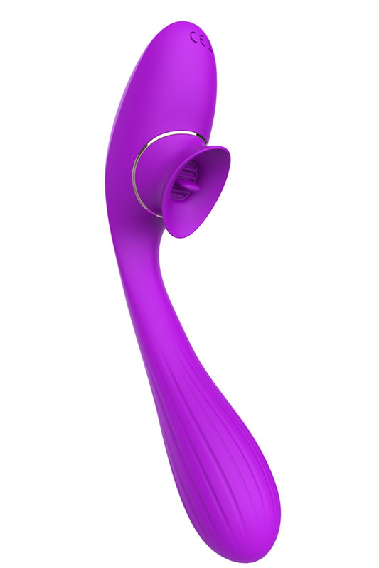 2 en 1 Stimulateur de clitoris avec langue et vibromasseur pour G USB flexible violet DISA - WS-NV025